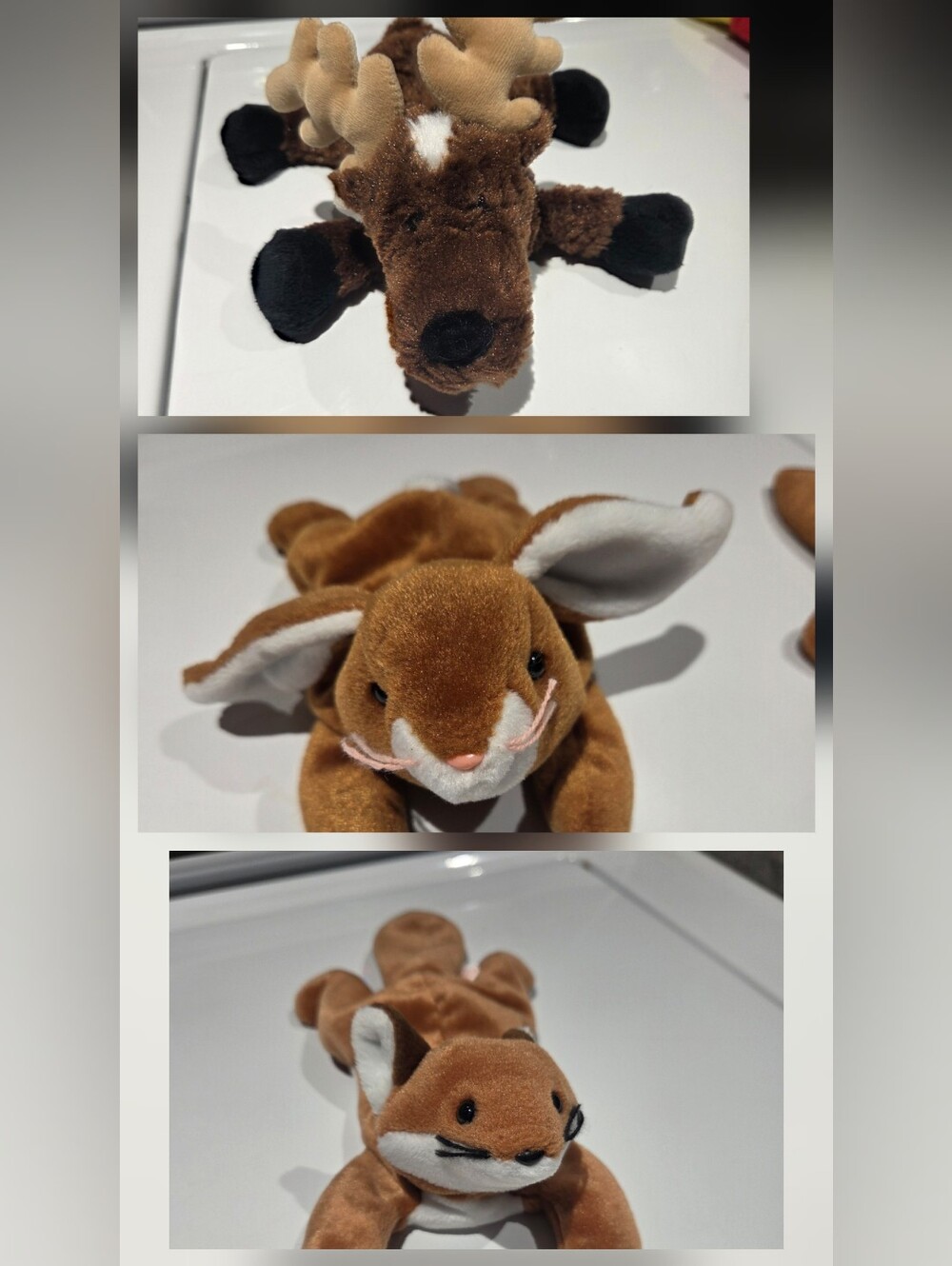 Small Beanie Animal's
